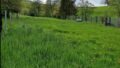 Foto der Immobilie (5672)
