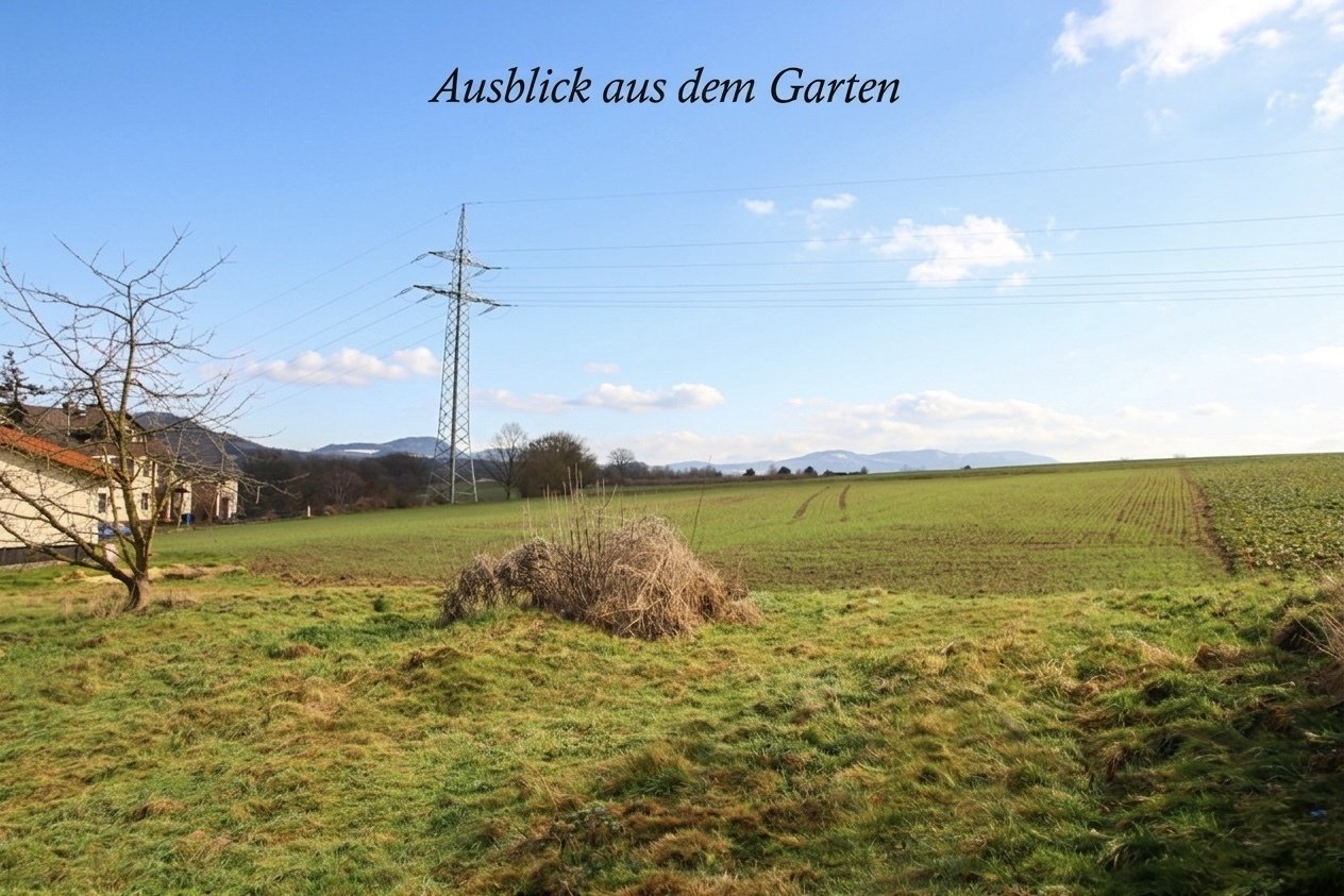 Foto der Immobilie (11324)