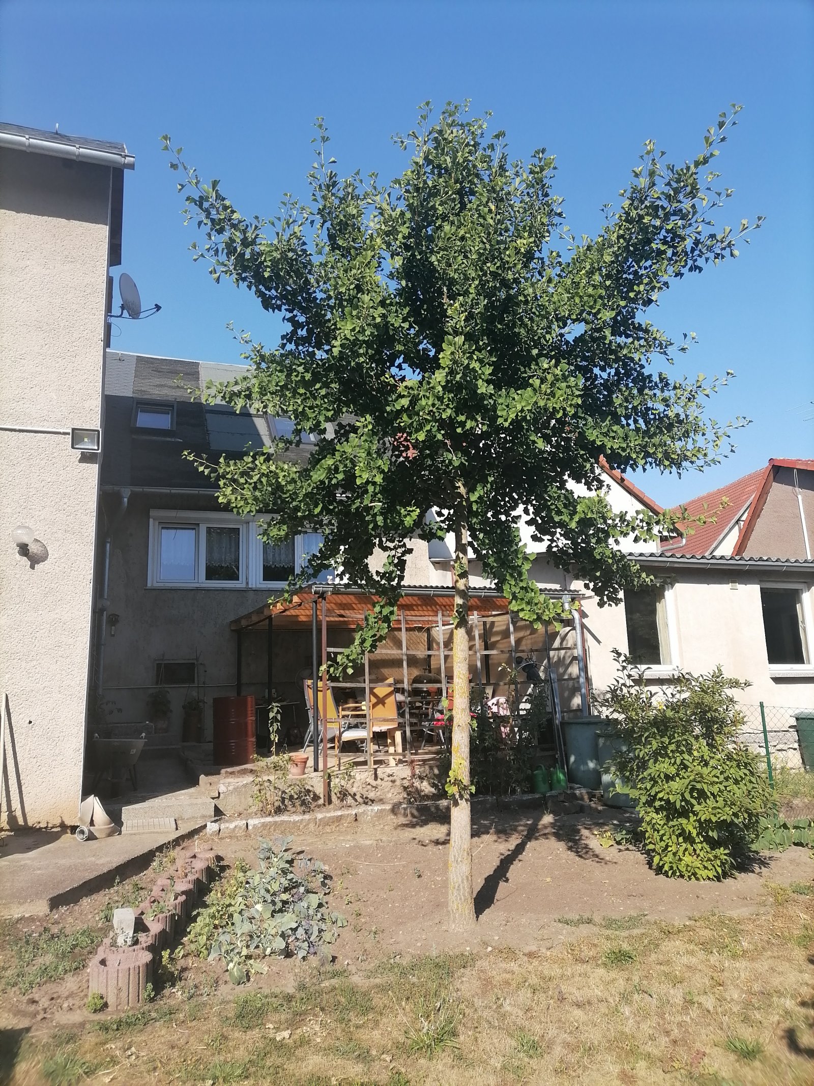 Foto der Immobilie (11478)