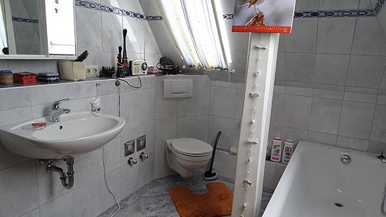 Foto der Immobilie (12434)