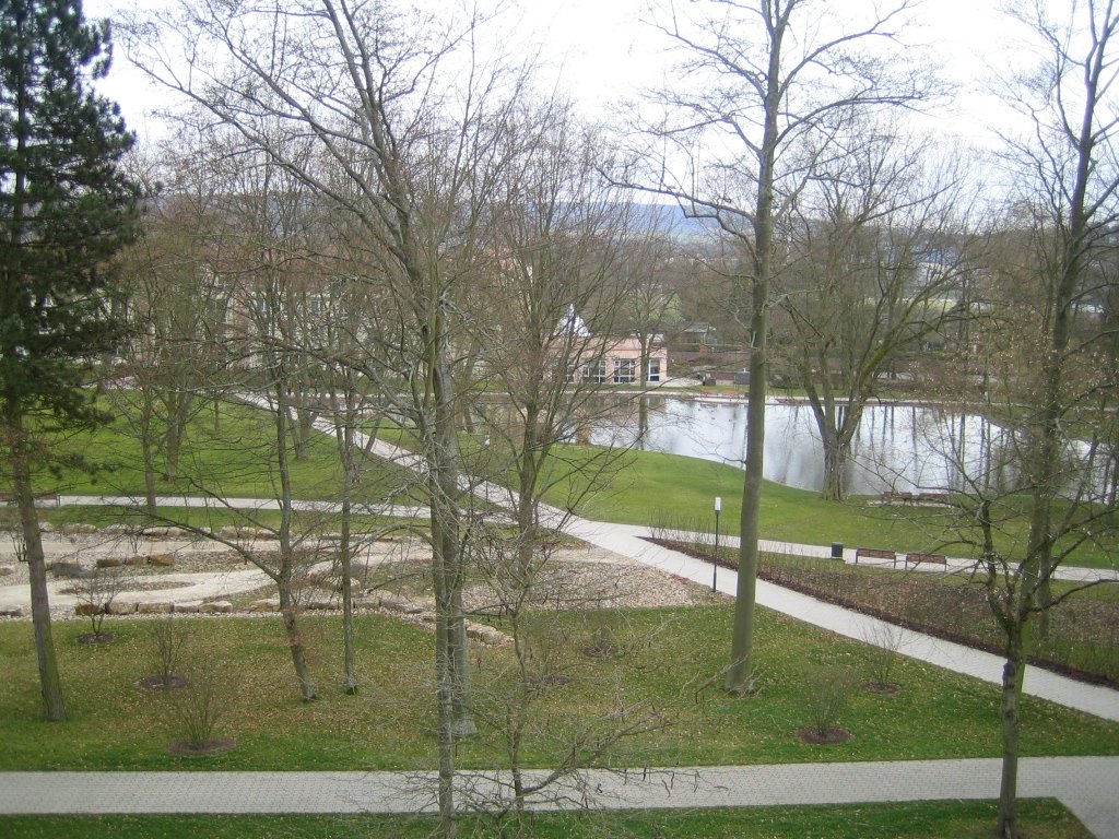 Foto der Immobilie (12438)