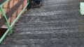 Foto der Immobilie (12391)