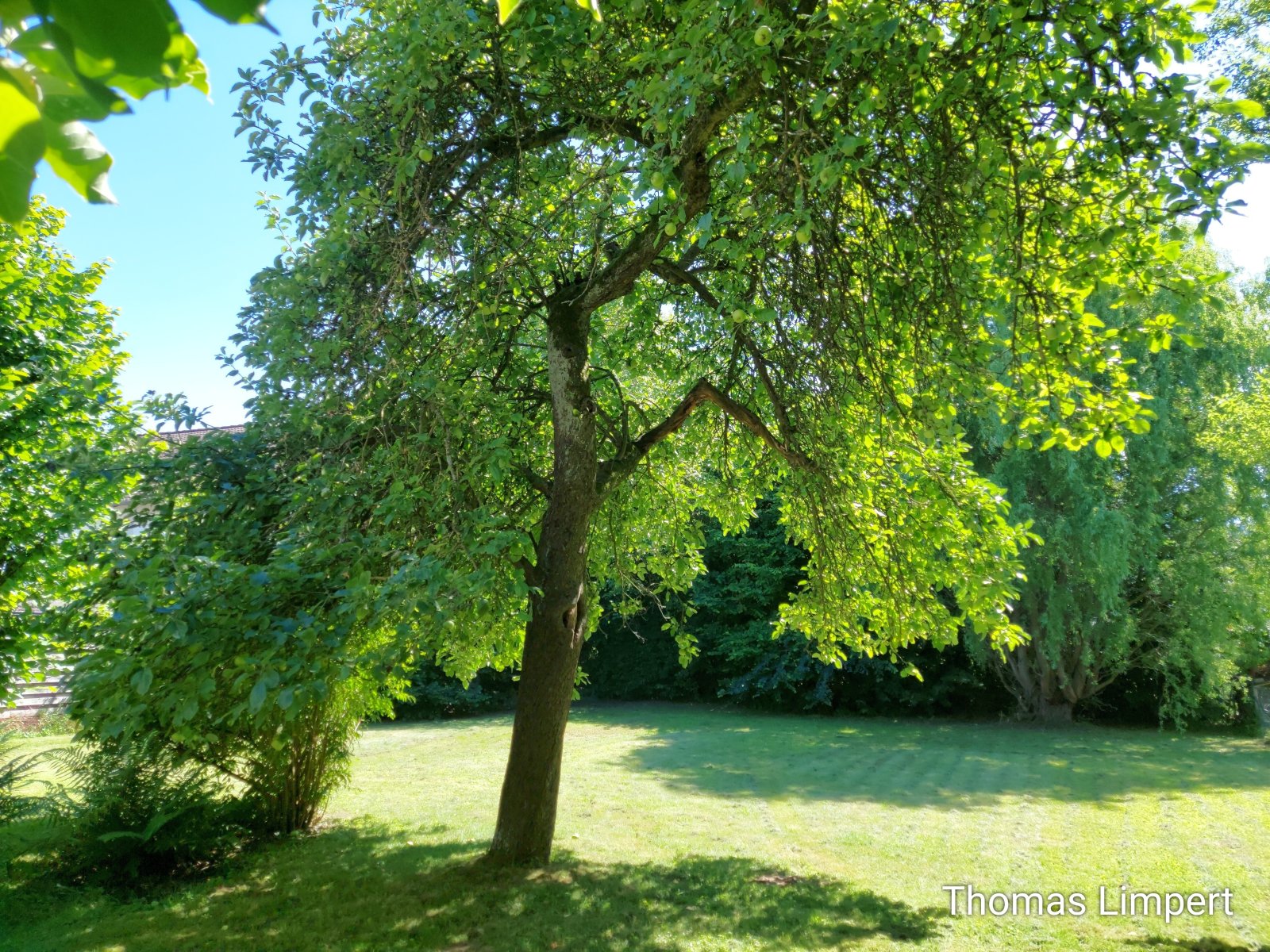 Foto der Immobilie (13068)