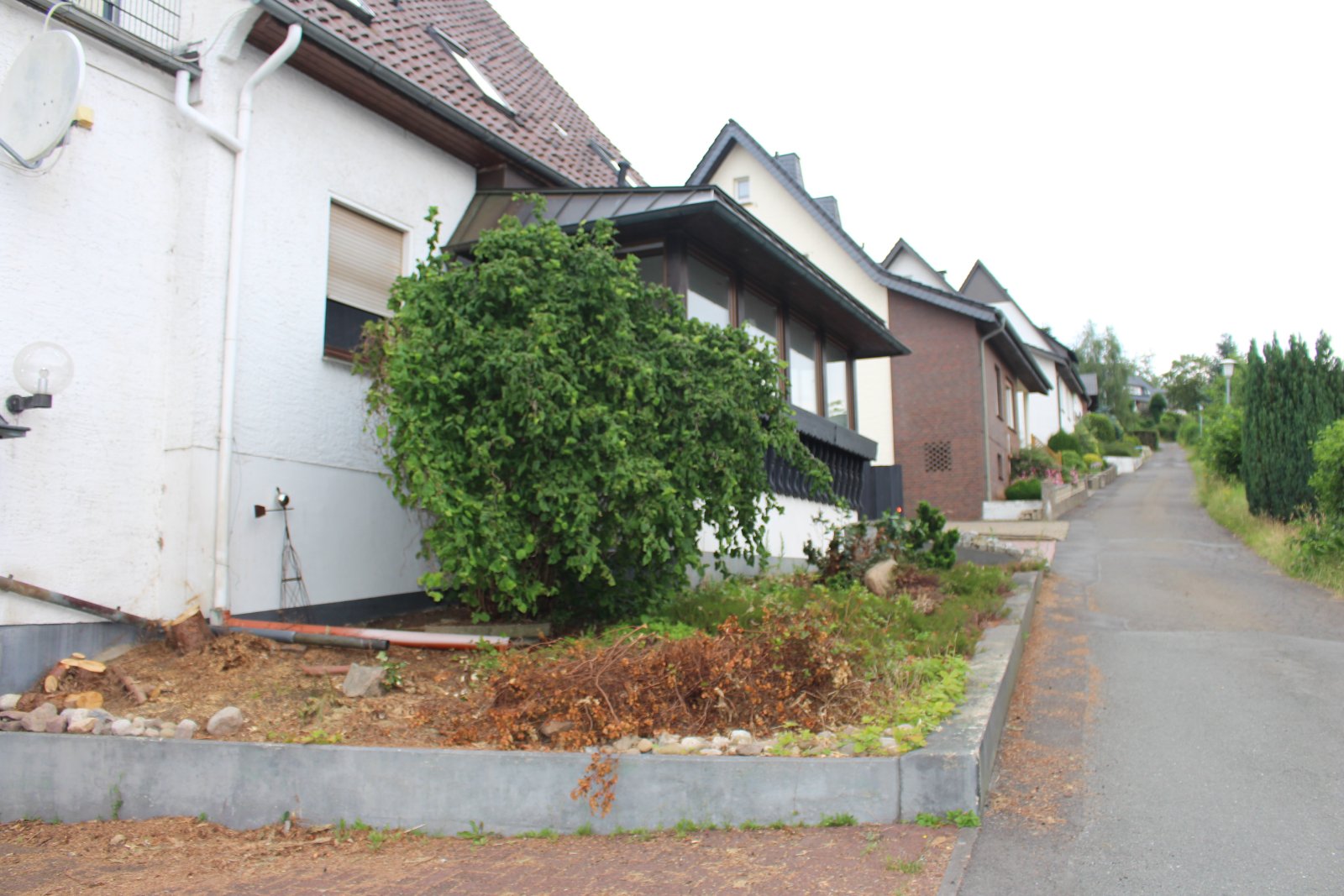 Foto der Immobilie (13384)